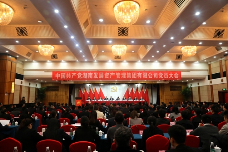 湖南发展集团召开党员大会着力打造“三力”国企