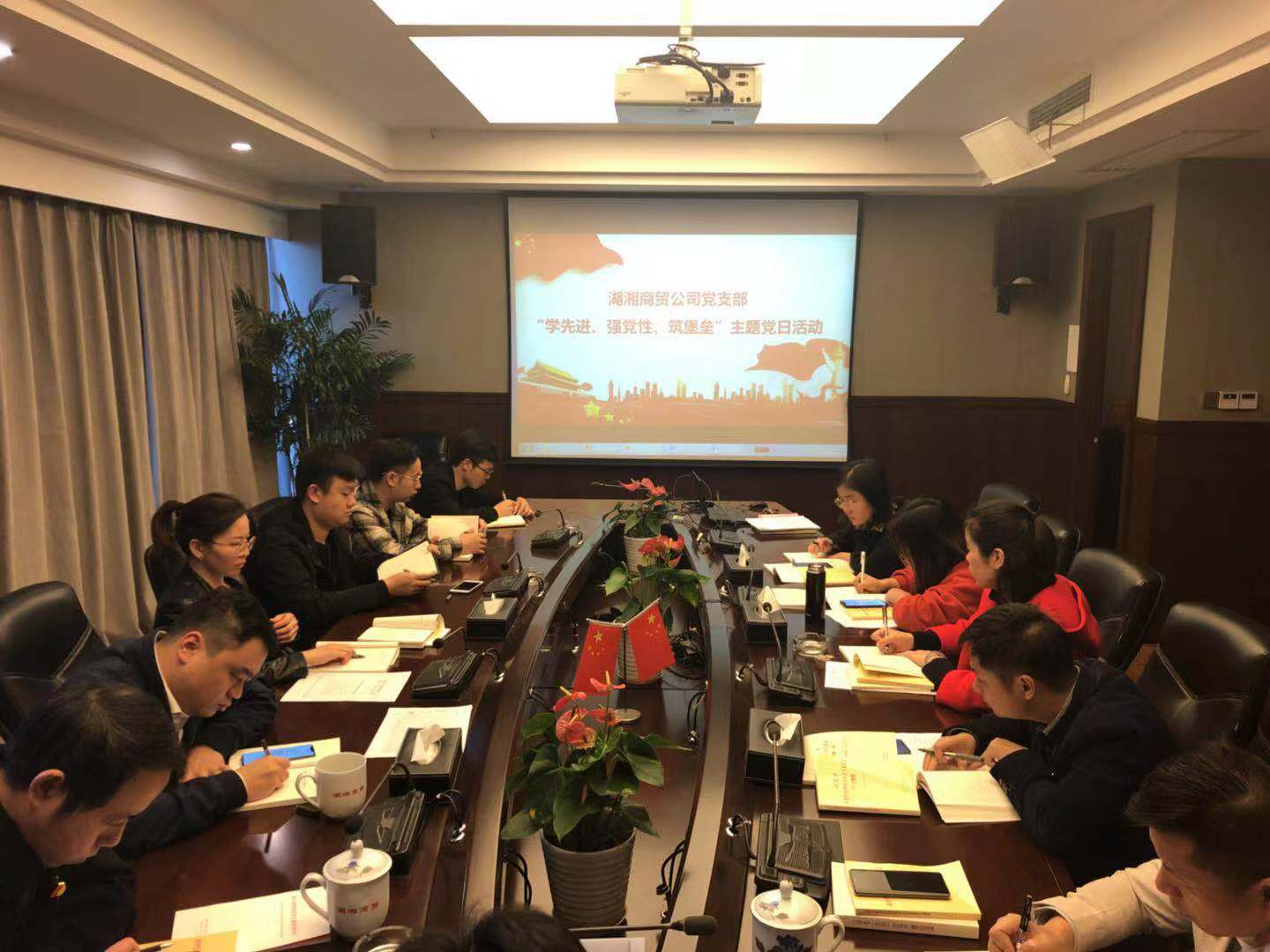 湖湘商贸公司党支部开展“学先进、强党性、 筑堡垒”主题党日活动